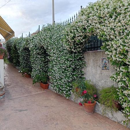Bed And Breakfast Angolo Fiorito Чивитавекия Екстериор снимка
