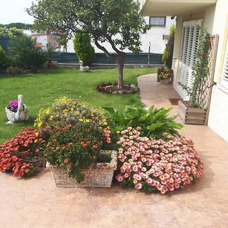 Bed And Breakfast Angolo Fiorito Чивитавекия Екстериор снимка