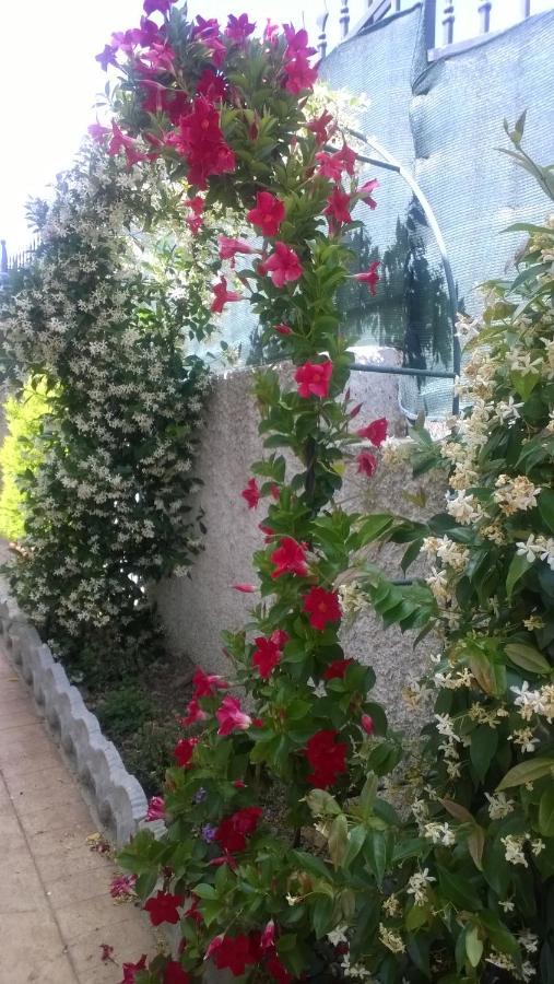 Bed And Breakfast Angolo Fiorito Чивитавекия Екстериор снимка