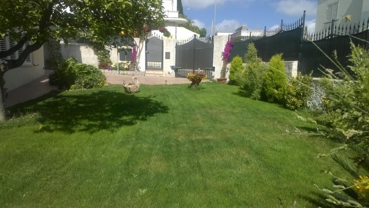 Bed And Breakfast Angolo Fiorito Чивитавекия Екстериор снимка