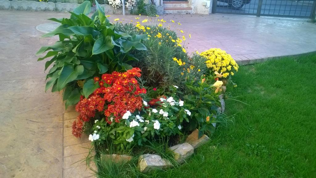 Bed And Breakfast Angolo Fiorito Чивитавекия Екстериор снимка