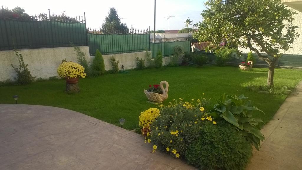 Bed And Breakfast Angolo Fiorito Чивитавекия Екстериор снимка