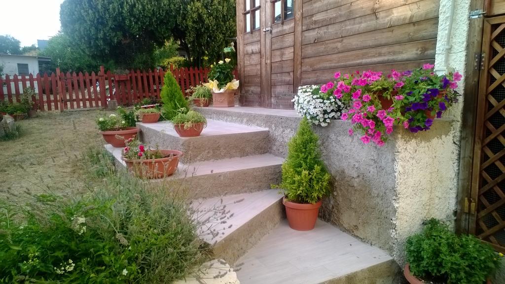 Bed And Breakfast Angolo Fiorito Чивитавекия Екстериор снимка