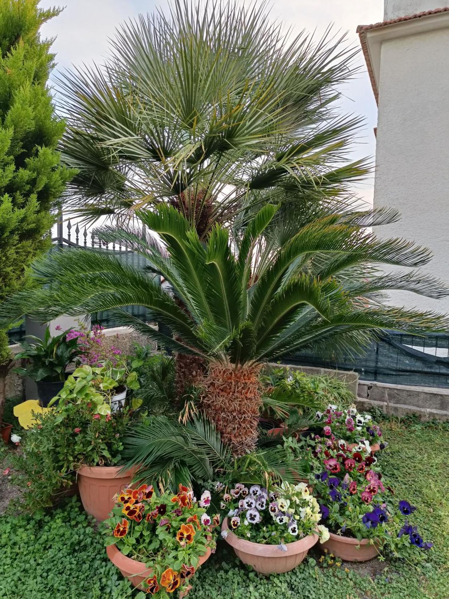 Bed And Breakfast Angolo Fiorito Чивитавекия Екстериор снимка
