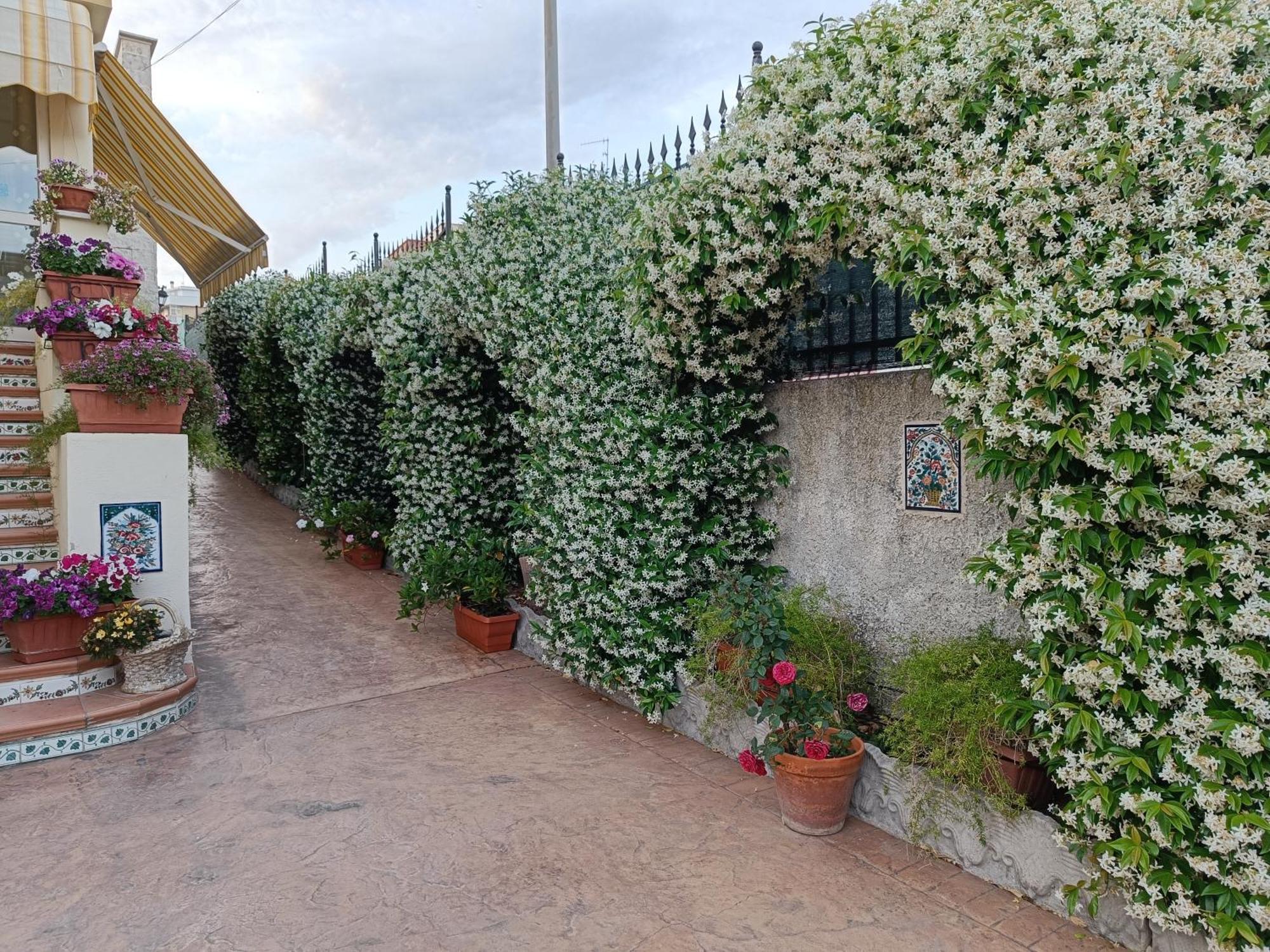 Bed And Breakfast Angolo Fiorito Чивитавекия Екстериор снимка