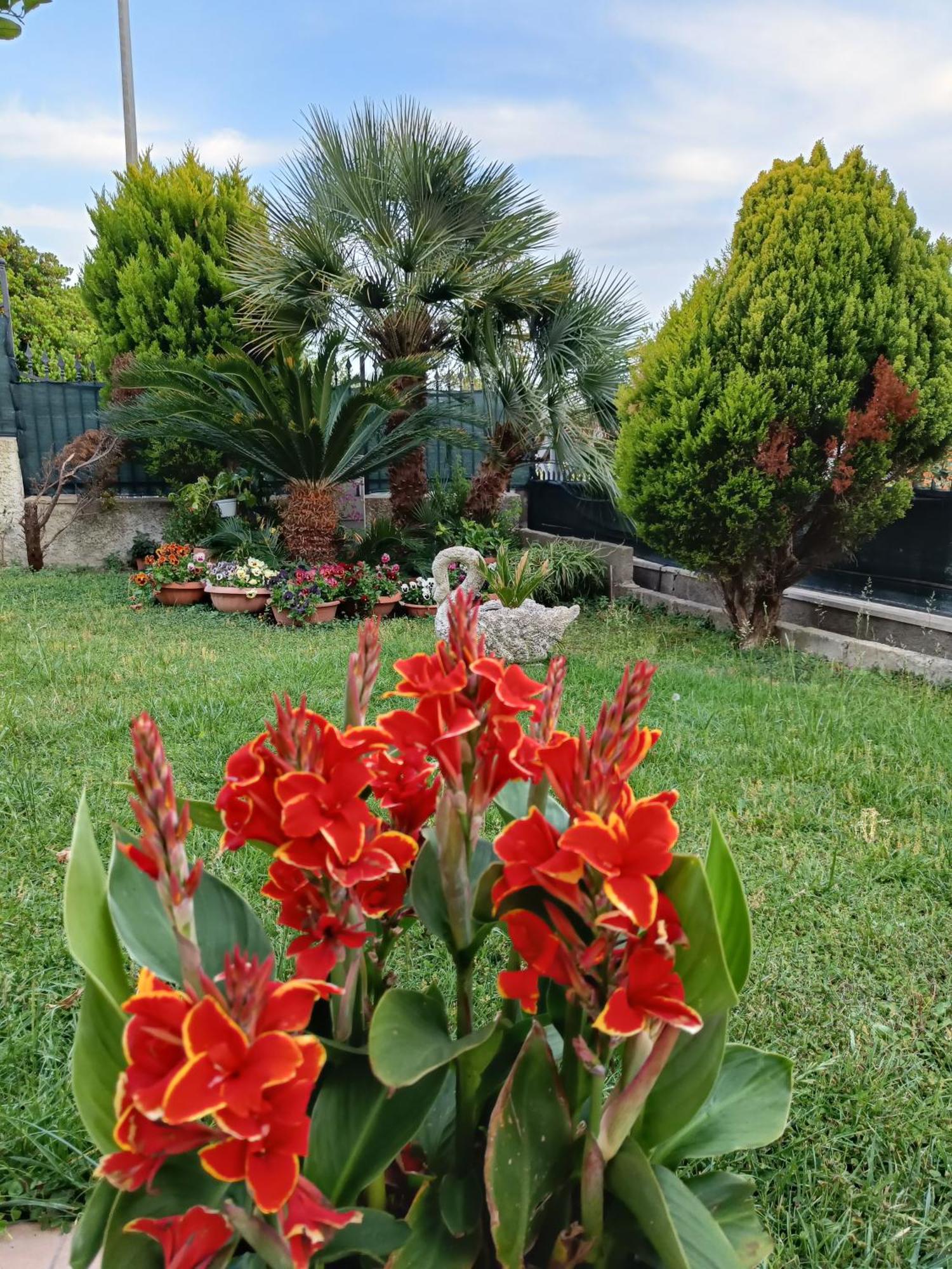 Bed And Breakfast Angolo Fiorito Чивитавекия Екстериор снимка