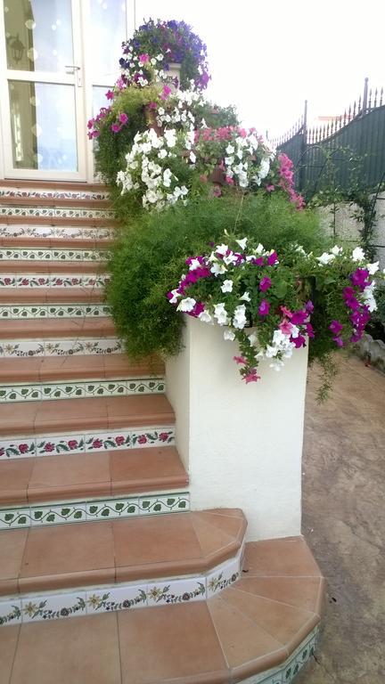 Bed And Breakfast Angolo Fiorito Чивитавекия Екстериор снимка