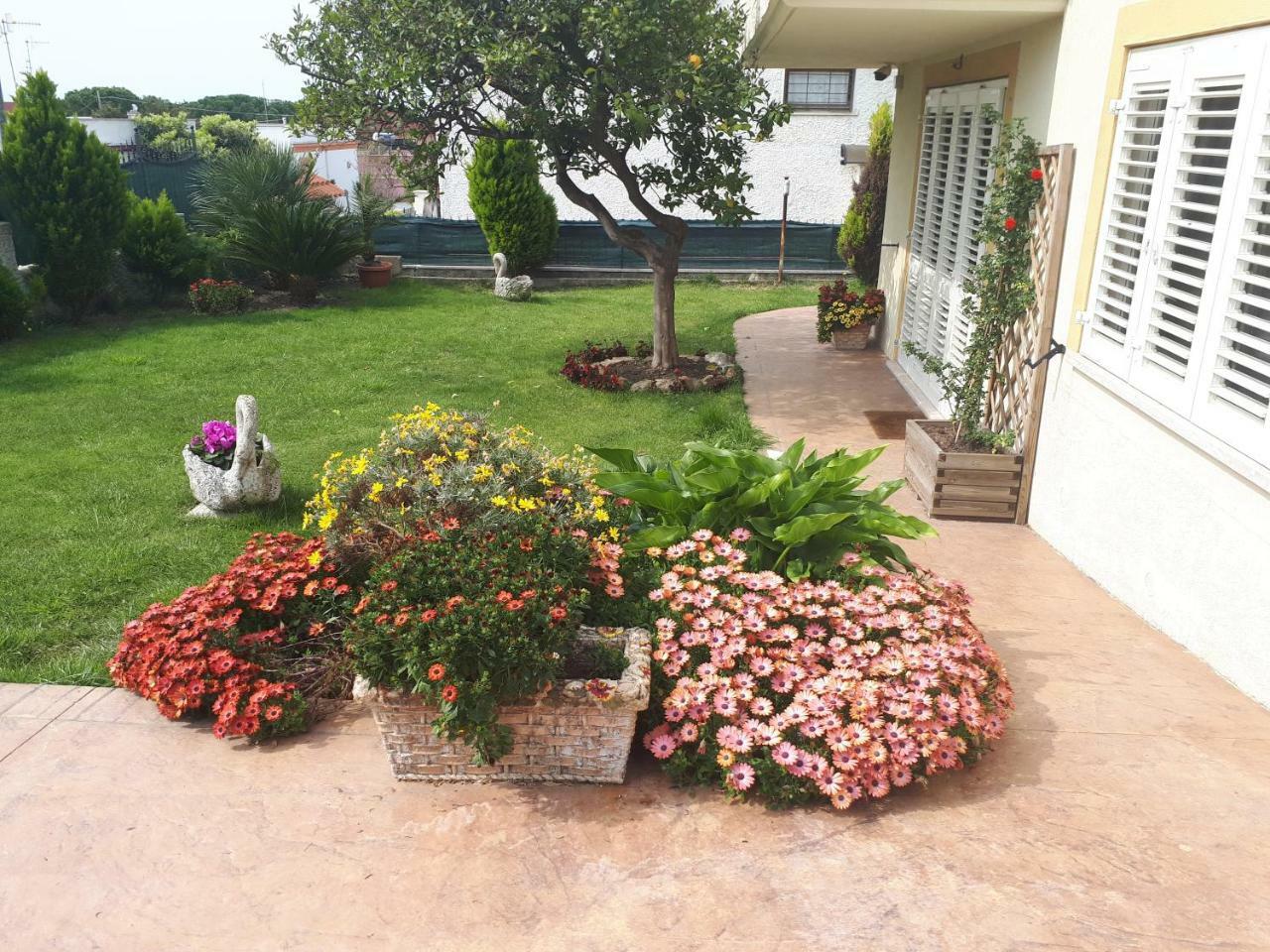 Bed And Breakfast Angolo Fiorito Чивитавекия Екстериор снимка