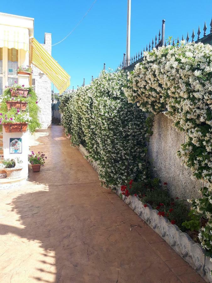 Bed And Breakfast Angolo Fiorito Чивитавекия Екстериор снимка